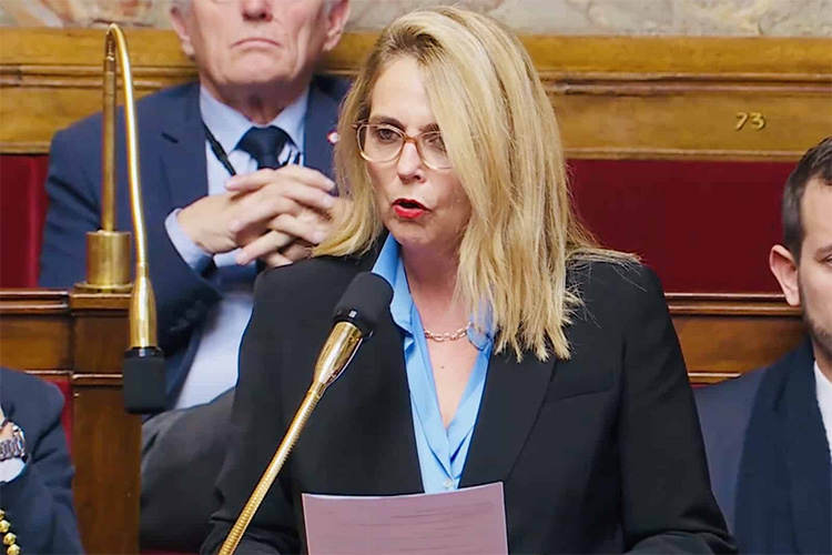 French Far-Right MP Asks Algeria to Apologise to the Harkis