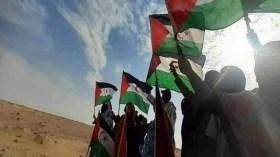 الموازنة بين المبادئ والمصالح.. الجزائر والصَّحراء الغربية نموذجًا