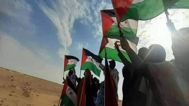 المشروع الوطني الصحراوي عند مفترق طرق تاريخي