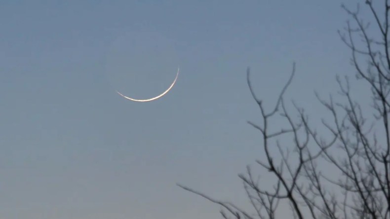 وزارة الشؤون الدينية تعلن موعد المولد النبوي الشريف