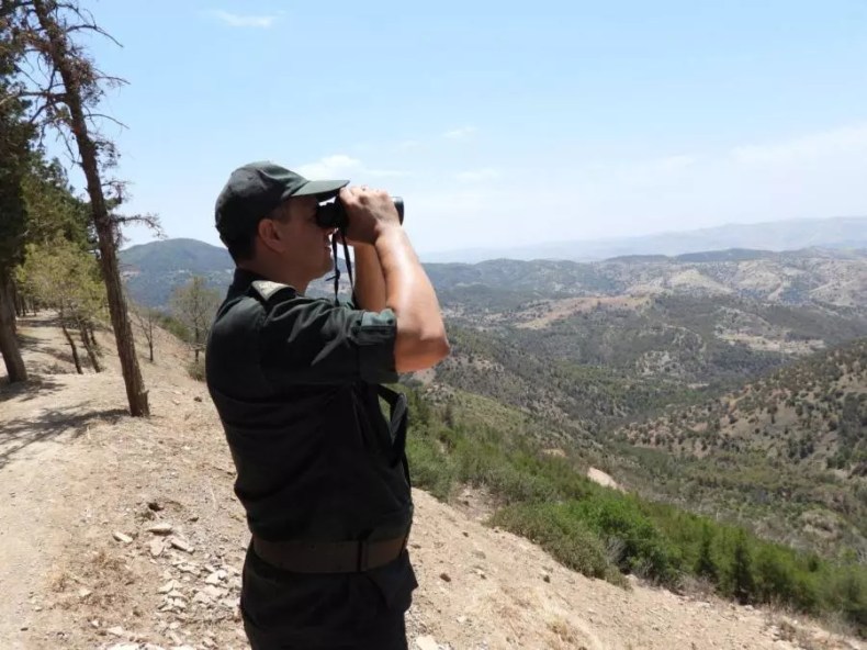Prévention des feux de forêt: De nouvelles mesures en vigueur durant la saison 2025