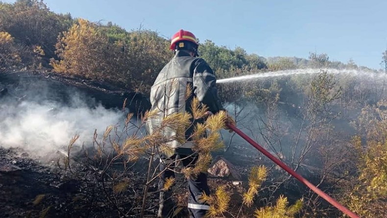 إخماد معظم حرائق الغابات عبر ولايات عدّة