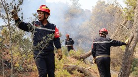 أداء فعال في مكافحة حرائق الغابات وتراجع المساحات المتضرّرة