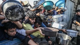 نصف مليون مواطن في المرحلة الخامسة من الجوع