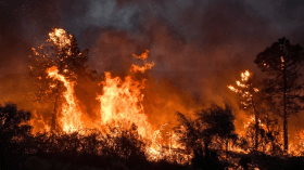 الحماية المدنية: أكثر من 20 حريقا في 8 ولايات