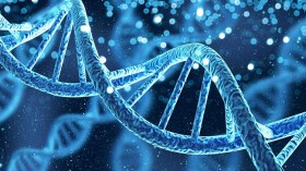 مَن يتحكّمُ في تنظيم عملِ المُوّرّثات؟