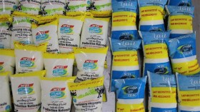 إنتاج محلّي للحليب الطازج المبستر في الأغواط