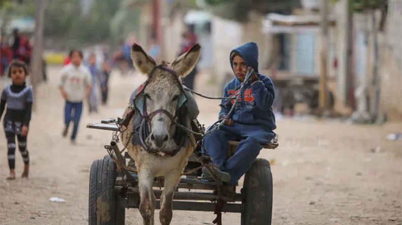 حميرُ غزة في فرنسا!