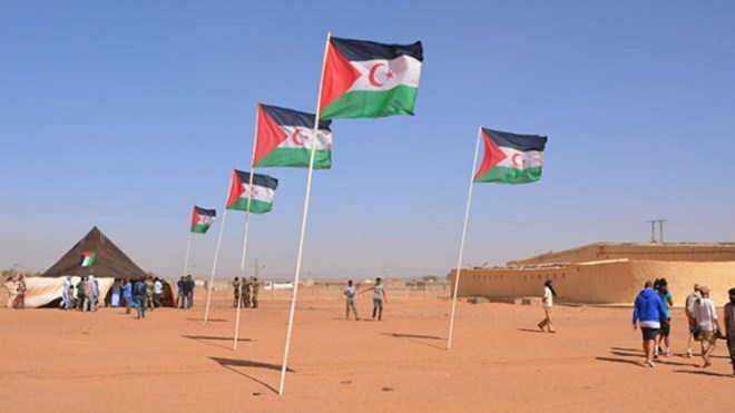 دعوى قضائية ضد الشركات الفرنسية الناشطة في الصحراء الغربية