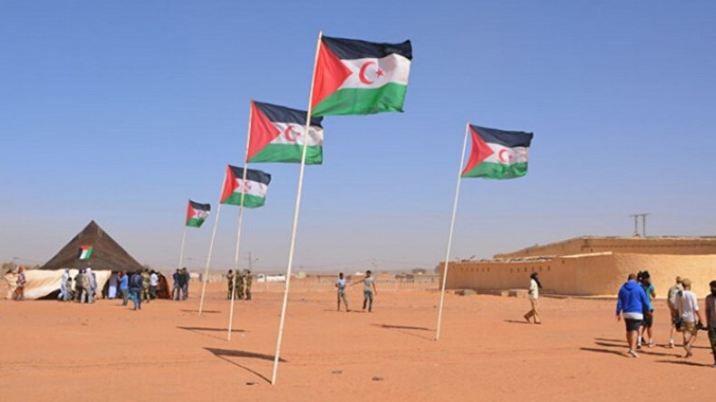 دعوى قضائية ضد الشركات الفرنسية الناشطة في الصحراء الغربية