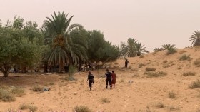 العثور على الطفلة المختفية في الوادي متوفية