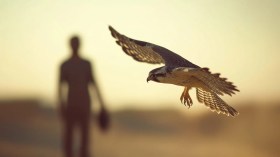 الصيد على الطريقة الجزائرية فن تفوق على بلاطات أوروبا