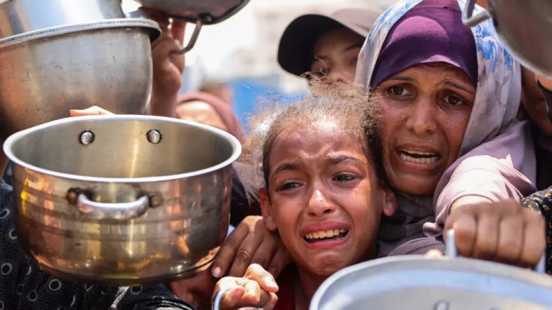 إعلان المجاعة رسميا في غزة.. حماس ترد