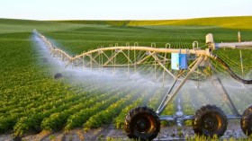 50234 هكتار جاهزة للاستثمار الفلاحي بهاتين الولايتين