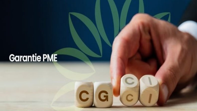 تمويل.. ضمانات صندوق “ضمان قروض الاستثمار” تجاوزت 35 مليار دج في 2024