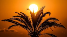 جويلية 2025.. ثالث أكثر شهر حرارة في السنوات الأخيرة (تقرير)