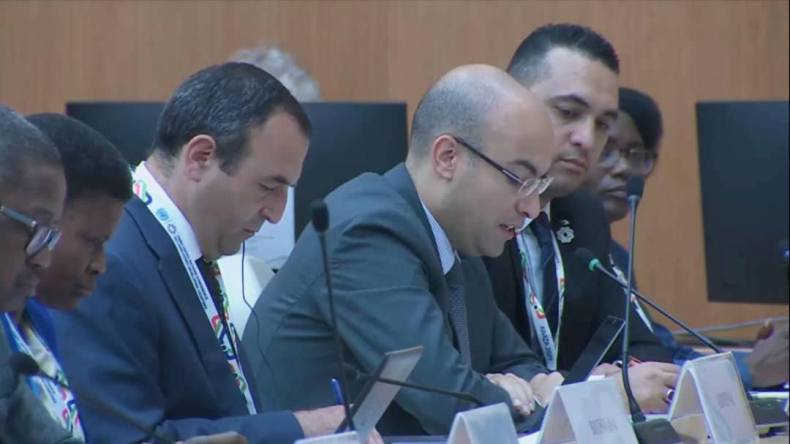 شايب يشارك في لقاء أممي رفيع المستوى حول الدول النامية غير الساحلية