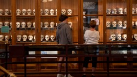  متحف أمريكي يعرض قلب بشري وجزء من دماغ أينشتاين!