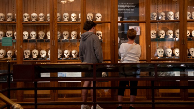  متحف أمريكي يعرض قلب بشري وجزء من دماغ أينشتاين!