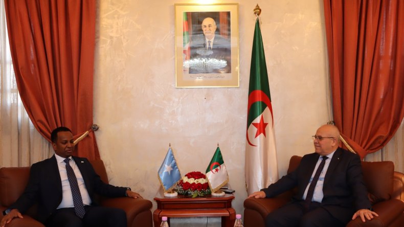 مباحثات جزائرية-صومالية لتعزيز التعاون في القطاع الفلاحي