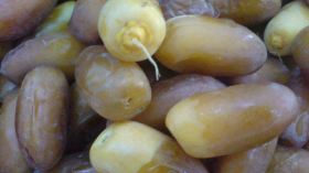 أسعار “لمنقّر” تتهاوى إلى 200 دج للكلغرام ببسكرة