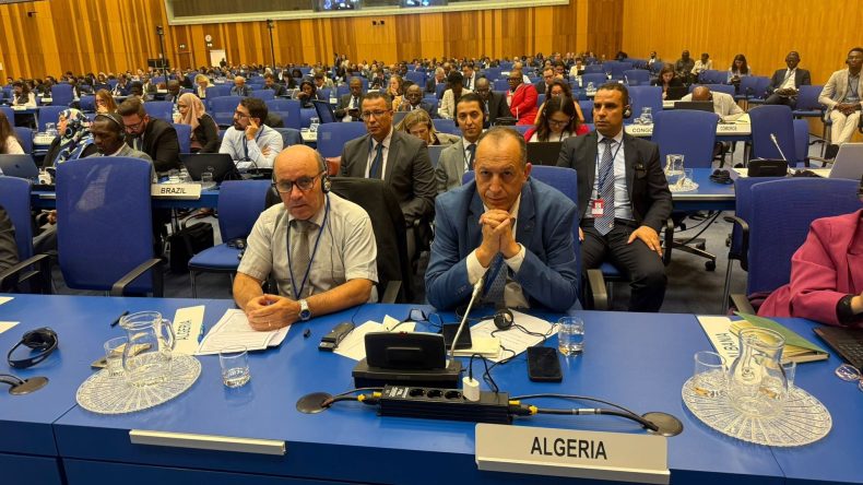 الجزائر تشارك بفيينا في اجتماعات أممية حول مكافحة الفساد واسترداد الموجودات