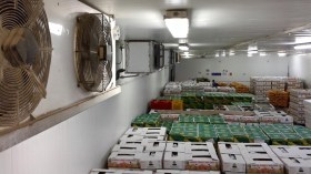 “بدون فوائد”.. قروض بـ 150 مليون دج لدعم إنشاء مخازن التبريد بهذه الولاية