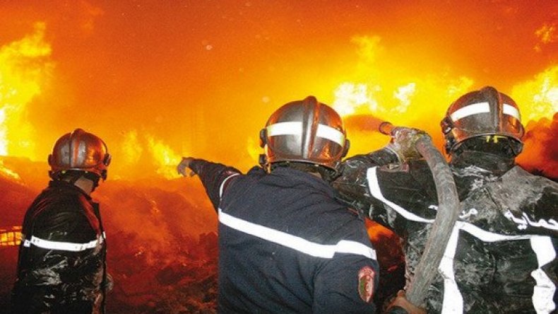 الحماية المدنية: السيطرة على 20 حريق غابي عبر 10 ولايات