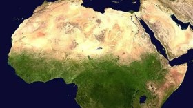 لا شجاعة قلوب ولا شجاعة عقول