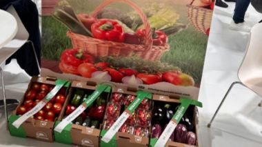 Discussions in Spain to Export DZ Fruits and Vegetables to New Markets