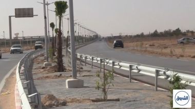 تندوف.. حملة تشجير واسعة لتحسين وجه المدينة