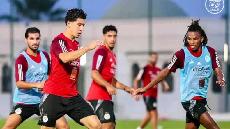 هذا ما ينتظره الجزائريون من موقعتي بوتسوانا وغينيا