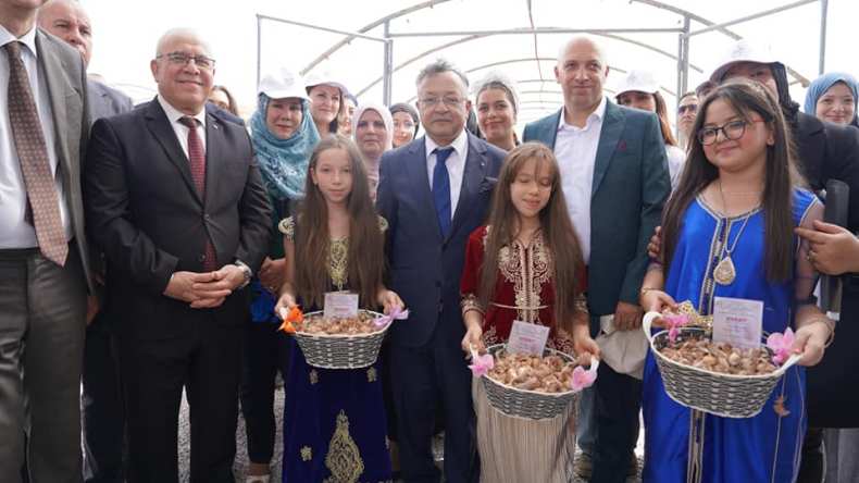 الجزائر تُطلق استراتيجية لتطوير زراعة وإنتاج الزعفران