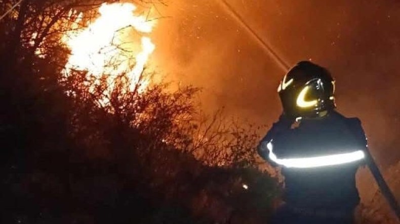 الحماية المدنية: تسجيل 7 حرائق غطاء نباتي في 5 ولايات