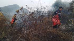 الحماية المدنية: تسجيل 36 حريقا للغطاء النباتي في 14 ولاية