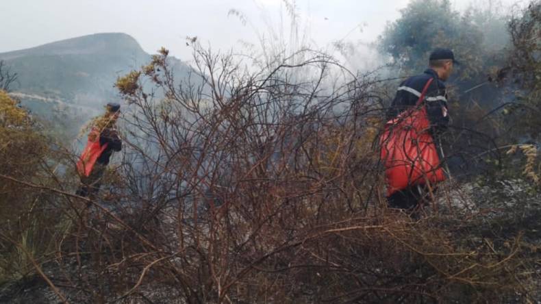 الحماية المدنية: تسجيل 36 حريقا للغطاء النباتي في 14 ولاية