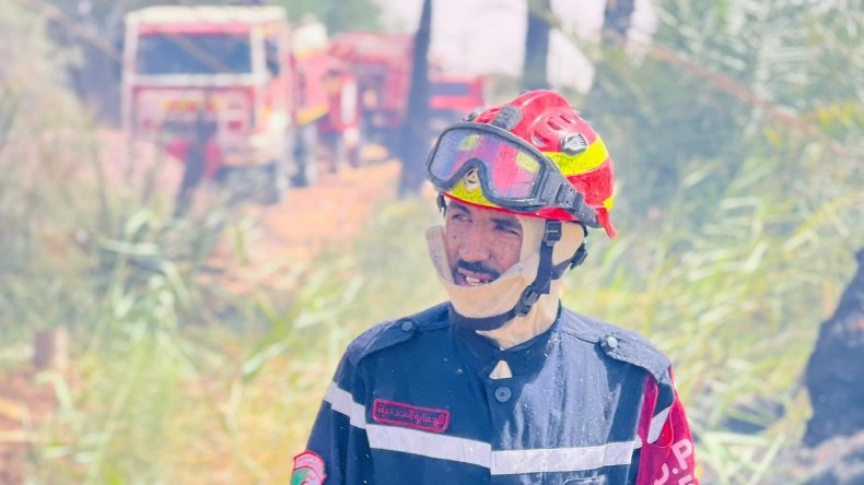 الحماية المدنية: إخماد 18 حريقًا للغطاء النباتي خلال 24 ساعة