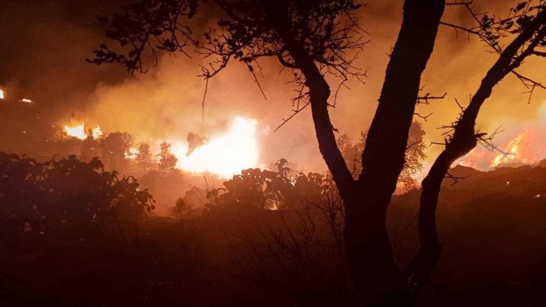 الحماية المدنية: تسجيل 48 حريقا للغطاء النباتي في 14 ولاية