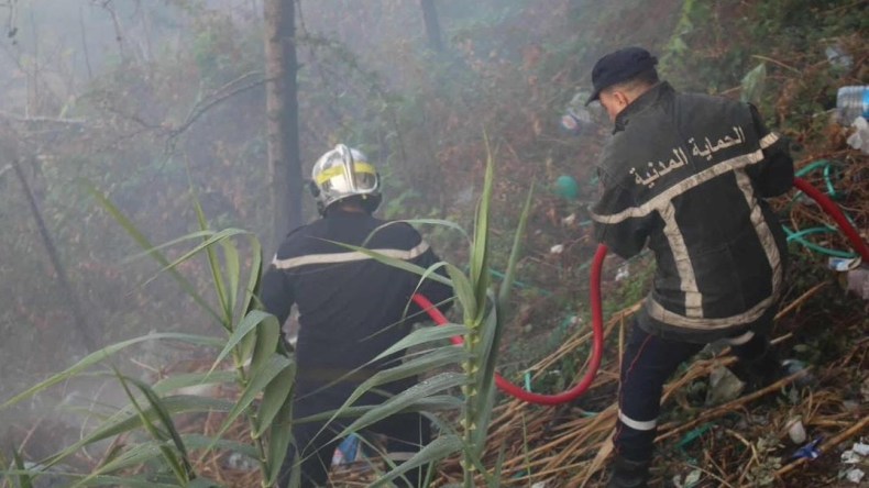 الحماية المدنية: إخماد 12 حريقًا للغطاء النباتي عبر 6 ولايات