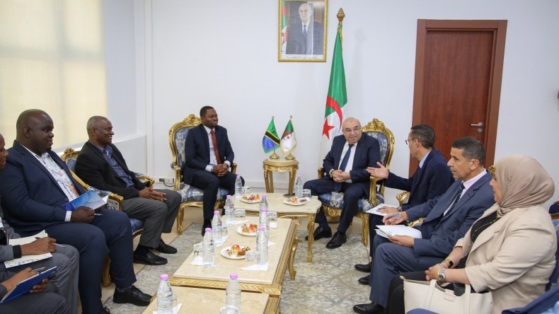 وزير الصناعة الصيدلانية يبحث فرص الشراكة مع سفير تنزانيا