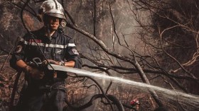 الحماية المدنية: تسجيل 28 حريقًا للغطاء النباتي عبر 8 ولايات