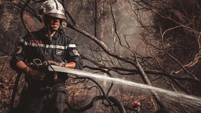 الحماية المدنية: تسجيل 28 حريقًا للغطاء النباتي عبر 8 ولايات