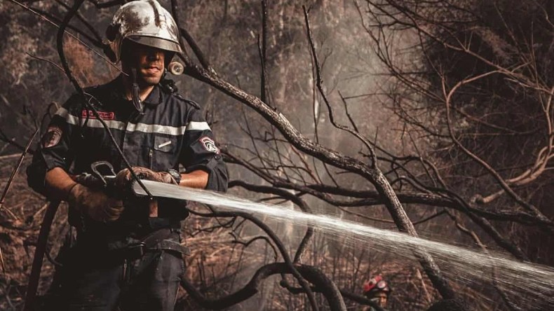 الحماية المدنية: تسجيل 28 حريقًا للغطاء النباتي عبر 8 ولايات