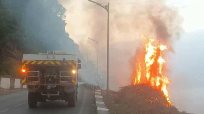 الحماية المدنية: إخماد 10 حرائق غابية عبر 8 ولايات