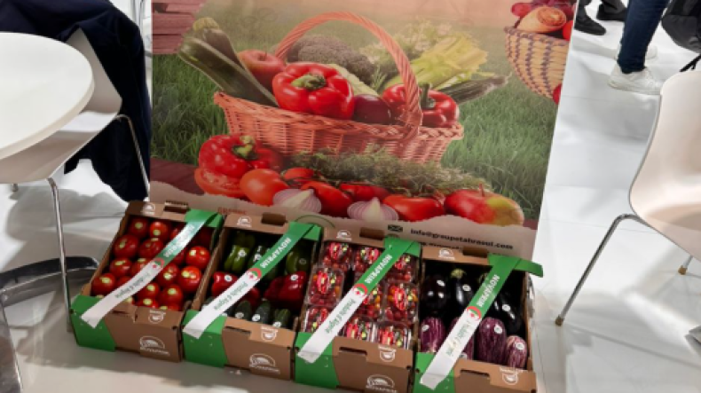 مباحثات بإسبانيا لتصدير خضر وفواكه “دي زاد” نحو أسواق جديدة