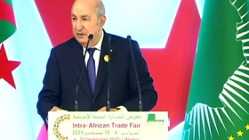 الرئيس تبون: ما يحدث في غزة إبادة جماعية ولا حلّ خارج إطار إقامة دولة فلسطينية