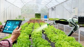 رسميّا… الجزائر تطلق تحدي مستقبل الزراعة الذكية