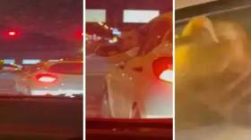 بالفيديو: سائق يرش رذاذ الفلفل على امرأة لهذا السبب!