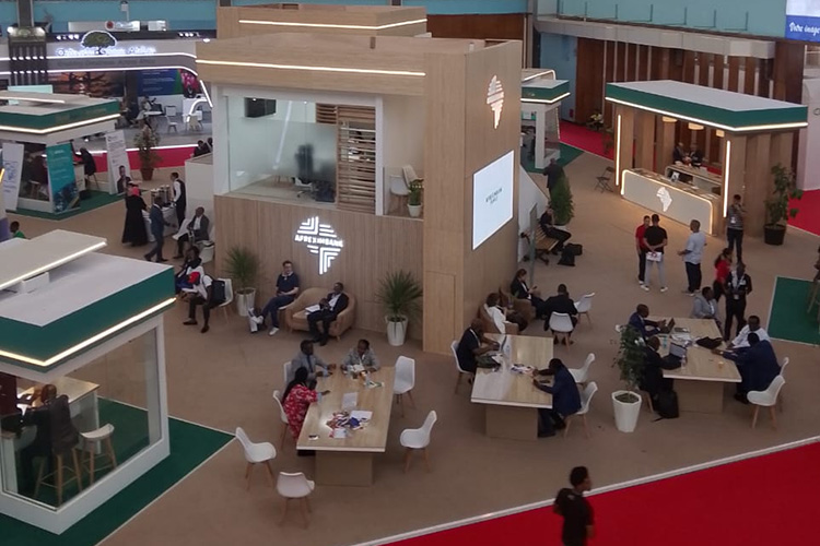 Algerian Companies Sign Contracts Worth Over $300 Million