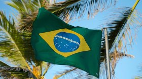 البرازيل تنضم لدعوى جنوب إفريقيا ضد الكيان الصهيوني